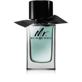 Burberry Mr. Burberry EDT