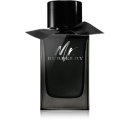 Burberry Mr. Burberry EDP