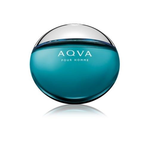 Bvlgari Aqva Pour Homme (100ml)